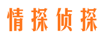 隆昌调查公司